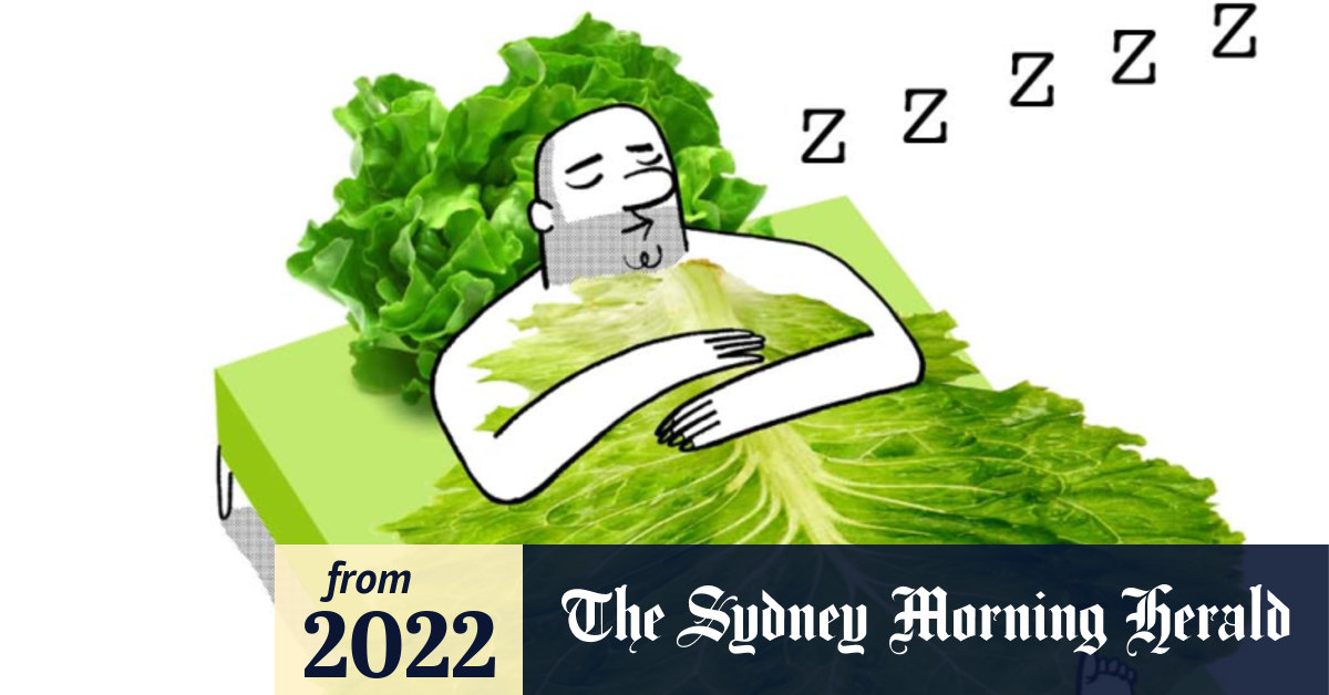 The Empty Plate furniture items designed to look like food